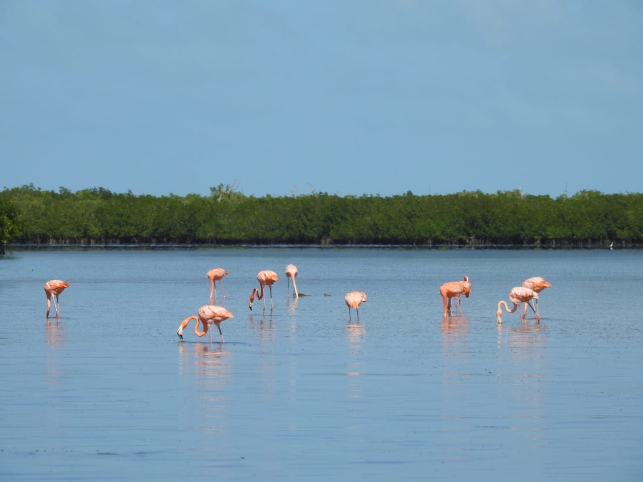 El Litoral Oriente de Yucatán es famoso por sus paisajes
