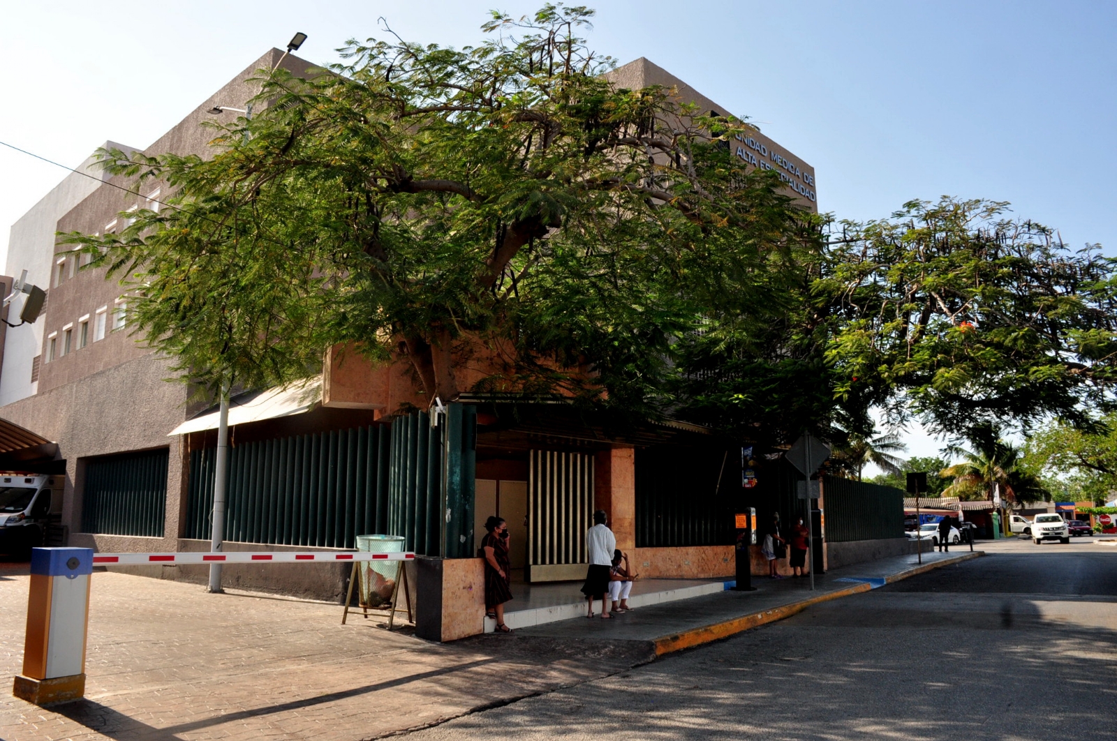 Los activistas están pendientes de los medicamentos para evitar el desabasto Los activistas están pendientes de los medicamentos para evitar el desabasto