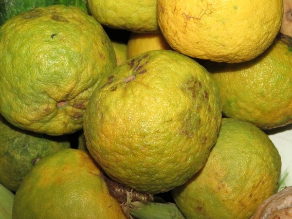 La naranja es uno de los frutos de temporada en septiembre