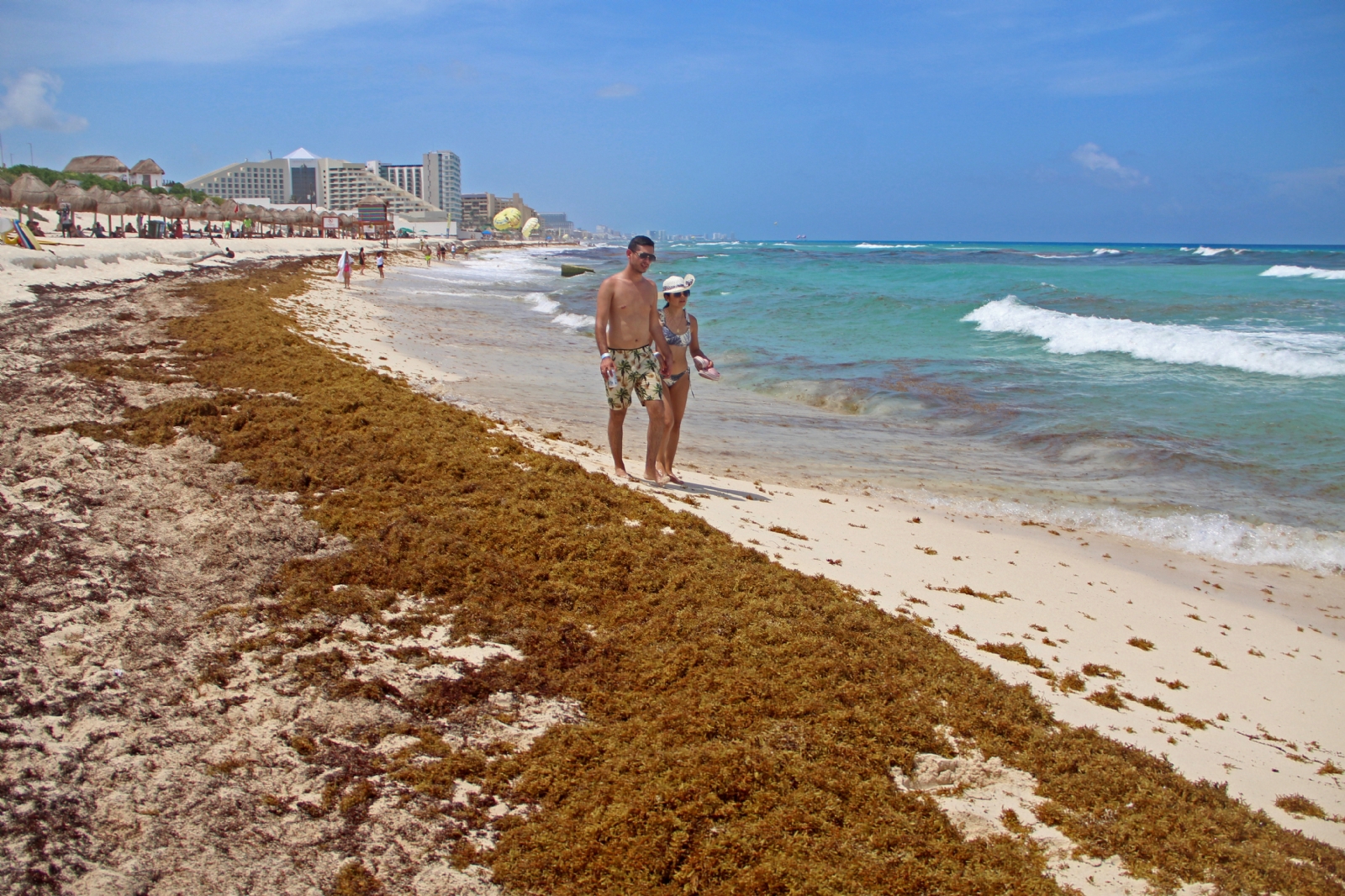 Playa Delfines en Cancún es una de las más afectadas por el recale de sargazo en la costa