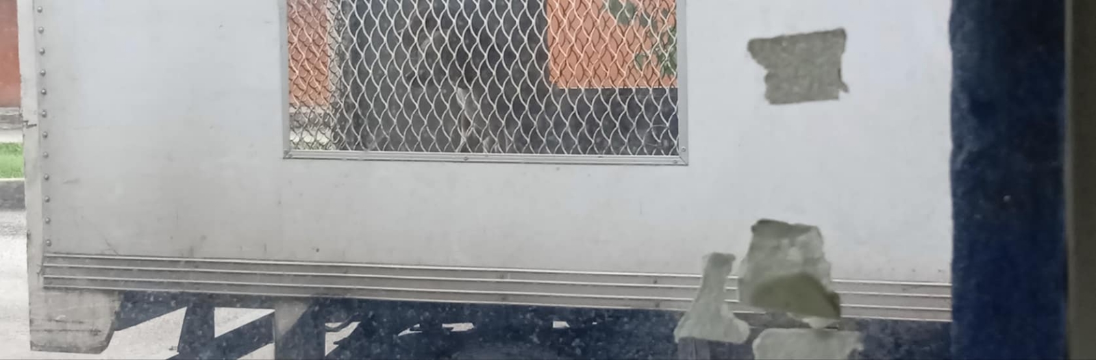 Una denuncia ciudadana alerta a la zona oriente de la ciuda de que la perrera captura perritos con collar en Mérida Una denuncia ciudadana alerta a la zona oriente de la ciuda de que la perrera captura perritos con collar en Mérida