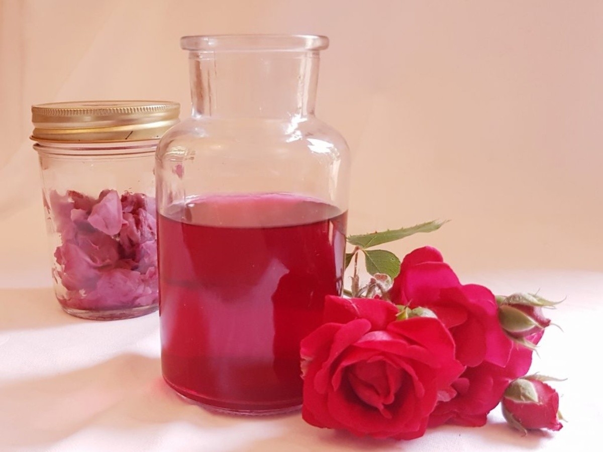 Estrés, es uno de las enfermedades que podría combatir por el consumo de agua de rosas Estrés, es uno de las enfermedades que podría combatir por el consumo de agua de rosas