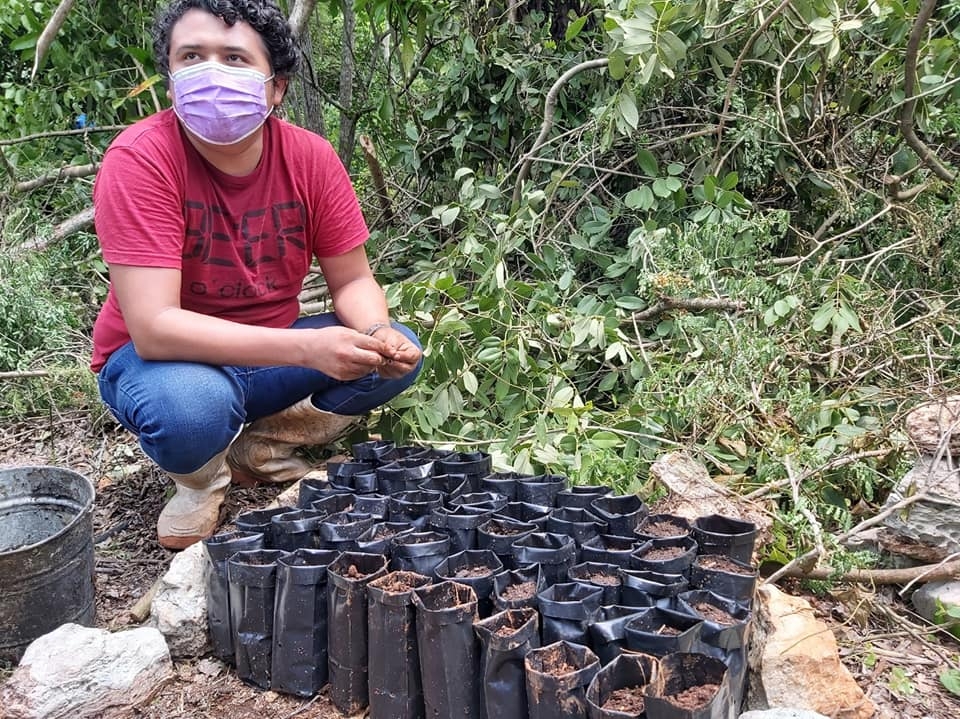 Buscan producir especies nativas de flores a fin de reproducir a las abejas Buscan producir especies nativas de flores a fin de reproducir a las abejas