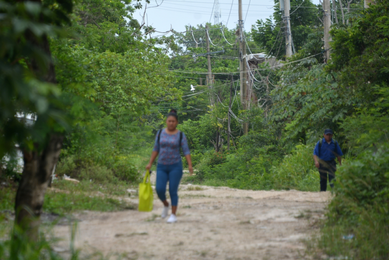 Los caminos son de terracería y están visiblemente deteriorados Los caminos son de terracería y están visiblemente deteriorados
