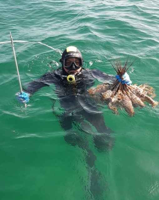 450 pescadores que salen todos los días en busca del crustáceo 450 pescadores que salen todos los días en busca del crustáceo