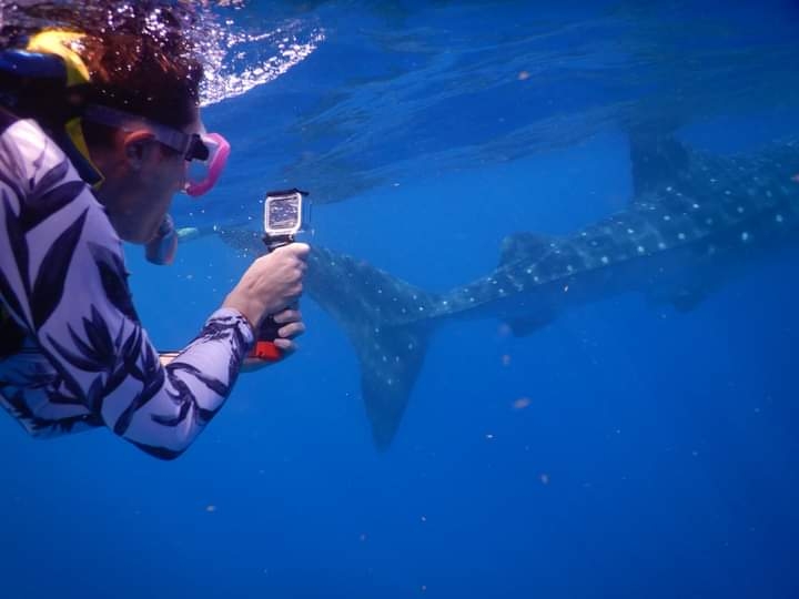 Algunos operadores de servicios acuáticos informaron que las reservaciones para los tours han aumentado