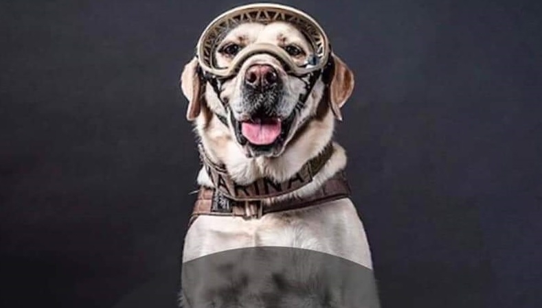 Frida se dedicará a colaborar con el entrenamiento de los nuevos elementos caninos Frida se dedicará a colaborar con el entrenamiento de los nuevos elementos caninos