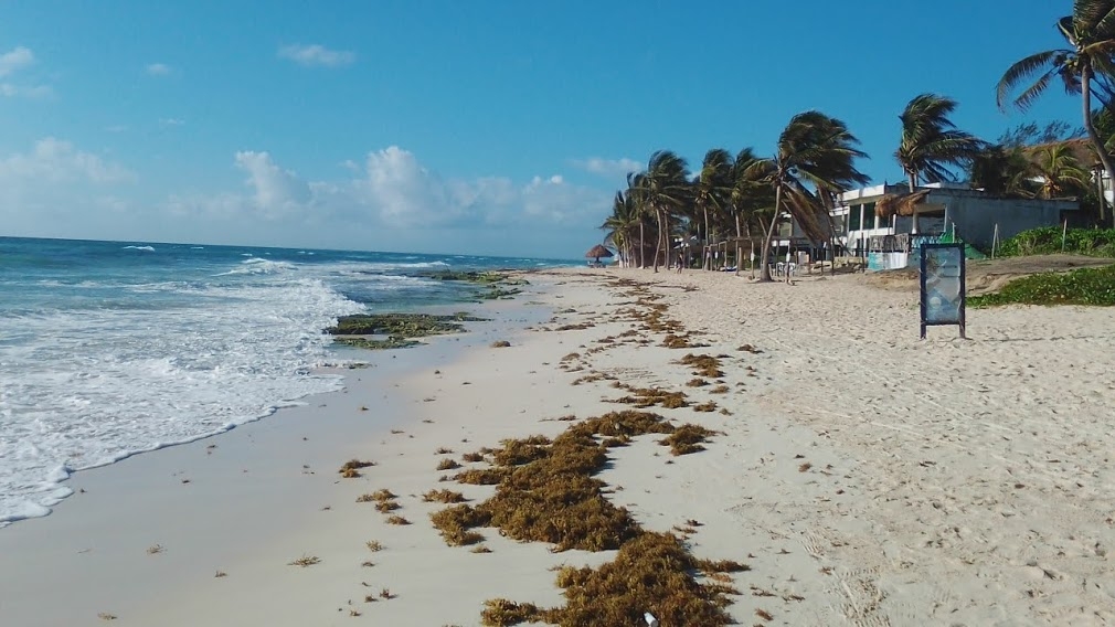 Autoridades quitan bandera 'Blue Flag' por peligro en Playa Xcalacoco de Solidaridad