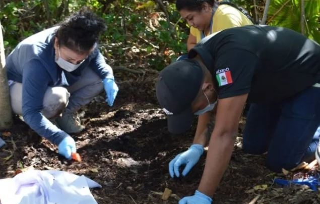 La Fiscalía General de Quintana Roo informó al Consejo Nacional de Búsqueda la identificación de dos cadáveres hallados en Bonfil