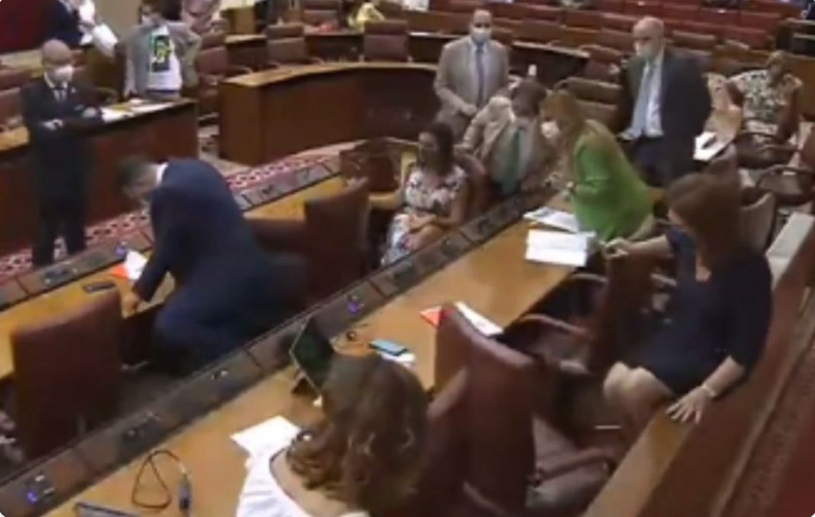 Rata interrumpe sesión en Parlamento de Andalucía Rata interrumpe sesión en Parlamento de Andalucía