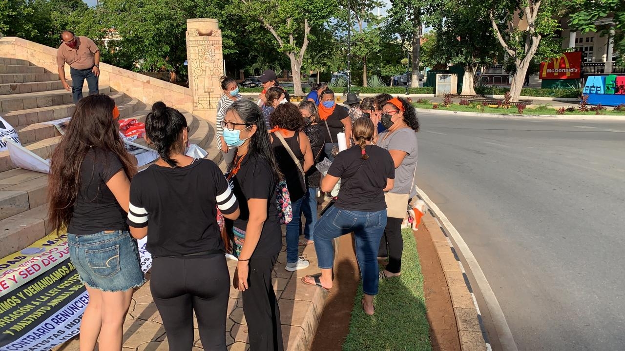 Animalistas se preparan para la marcha por la regularización de la ley de protección animal en Yucatán