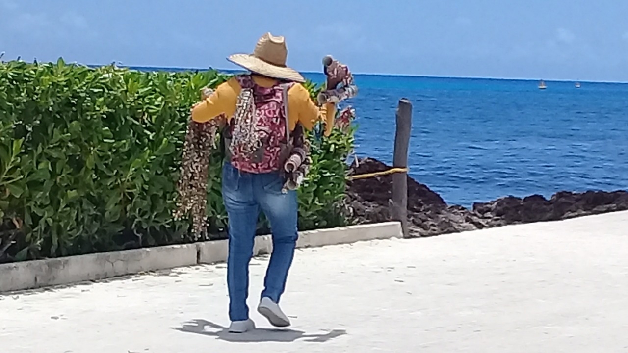 Prestadores de servicios, vendedores y artesanos dicen que los turistas no se acercan por la peste que deja el sargazo
