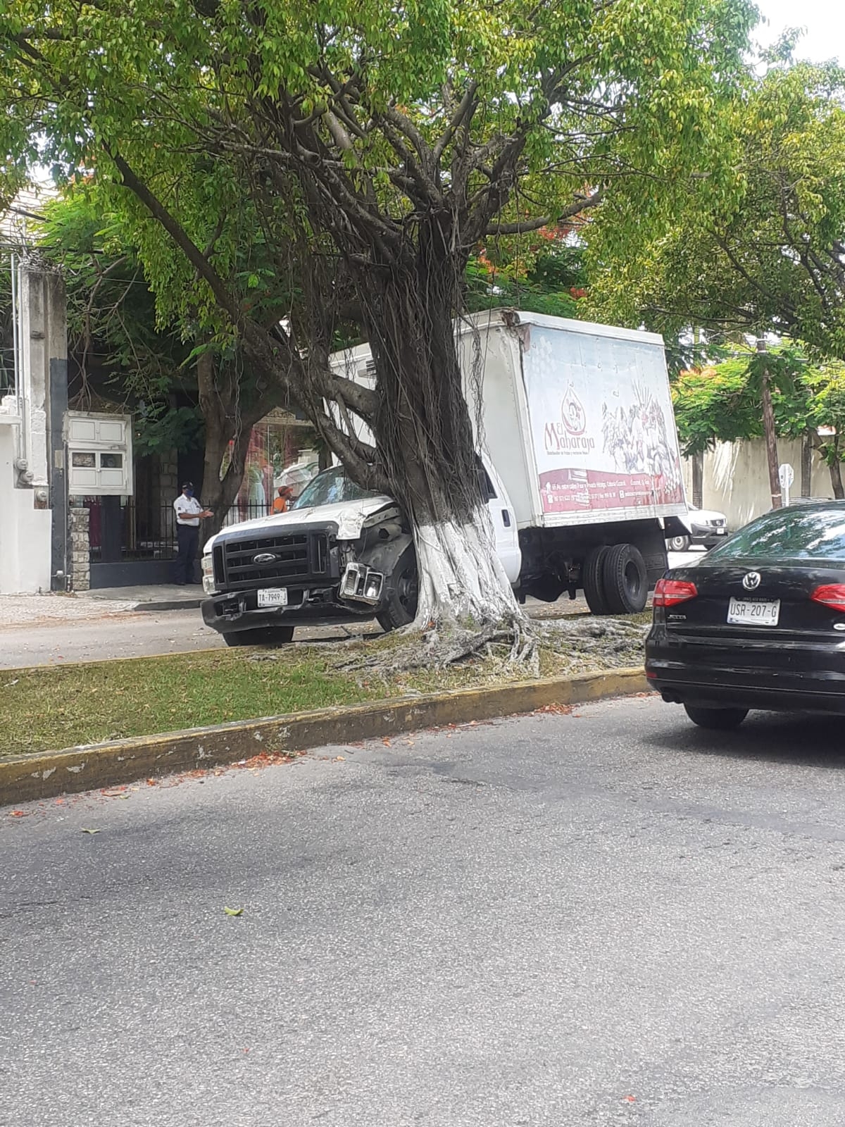La unidad de trasporte de frutas en Cozumel presentó una falla mecánica; el vehículo presentó daños en el lado del conductor