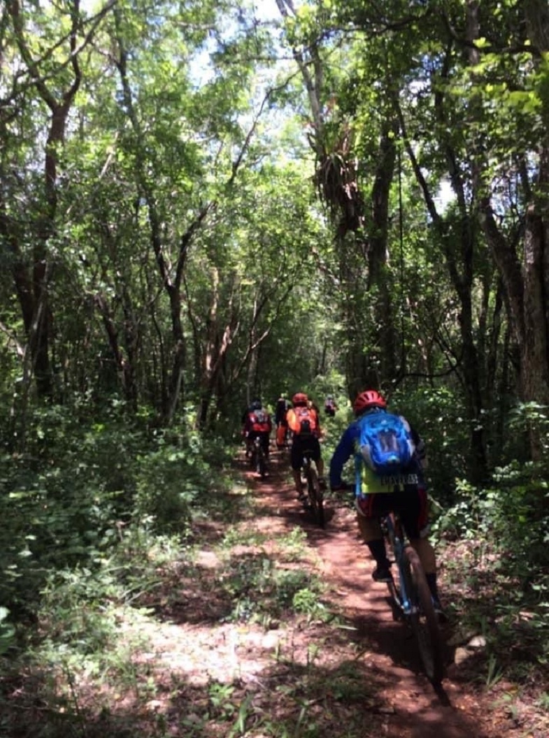 El recorrido en bicicleta será una aventura por la selva maya de Tihosuco”