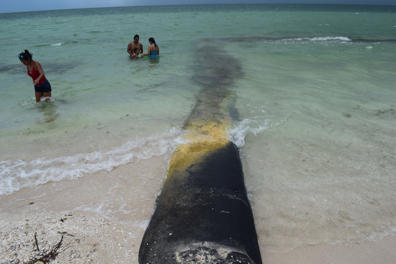 Bañistas señalan que las estructuras son peligrosas, ya que se encuentran en la playa Bañistas señalan que las estructuras son peligrosas, ya que se encuentran en la playa