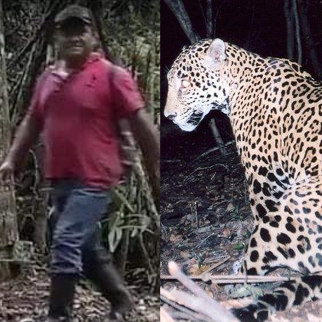 Cámaras captan a cazadores furtivos en reserva de la Laguna Om de Chetumal
