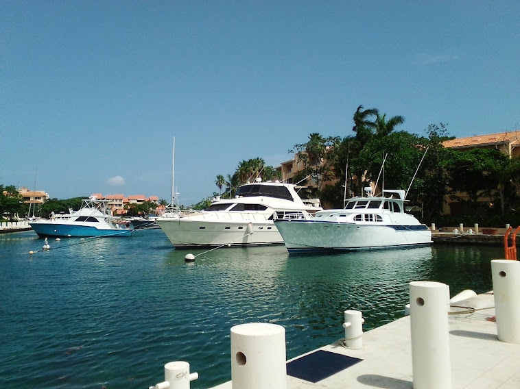 Siete embarcaciones sancionadas en operativo de Cofepris en Puerto Aventuras Siete embarcaciones sancionadas en operativo de Cofepris en Puerto Aventuras