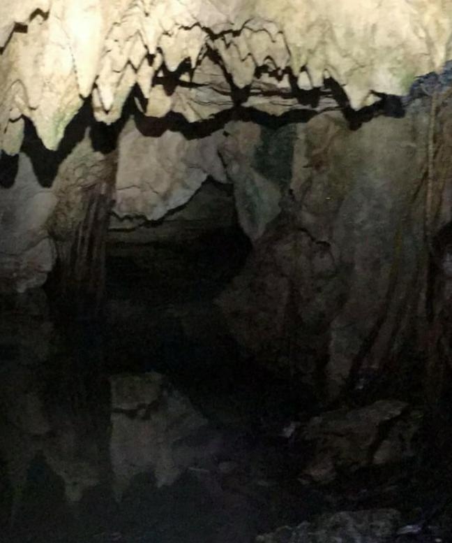 El Círculo Espeleológico del Mayab encontró esta caverna durante trabajo del proyecto 'Cenotes Urbanos' en Playa del Carmen El Círculo Espeleológico del Mayab encontró esta caverna durante trabajo del proyecto 'Cenotes Urbanos' en Playa del Carmen