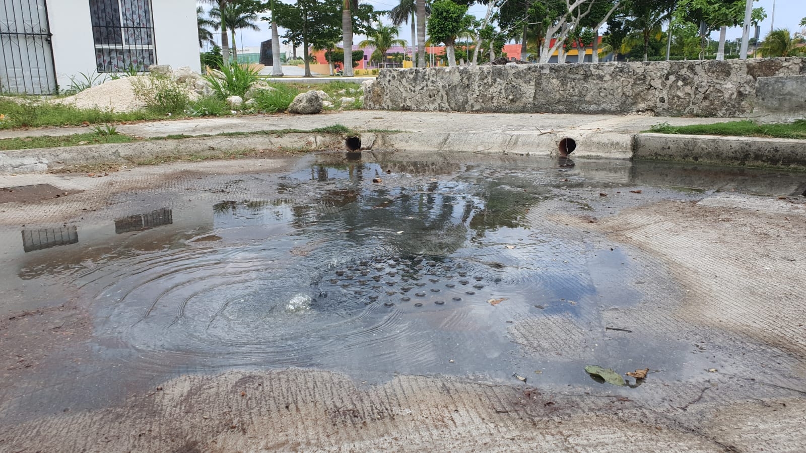 Vecinos denuncian fallas en el alcantarillado público de su colonia en Cozumel