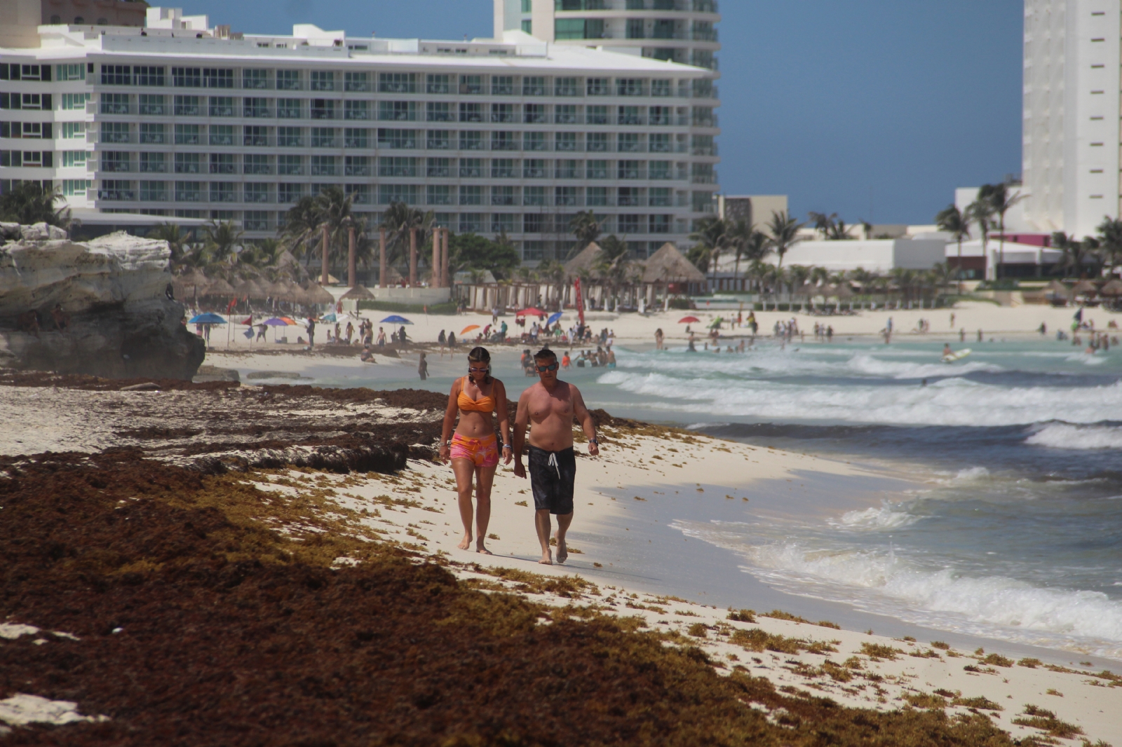 Cancún tiene cuatro playas afectadas por el sargazo, una de ellas tiene un recale excesivo de la macroalga Cancún tiene cuatro playas afectadas por el sargazo, una de ellas tiene un recale excesivo de la macroalga