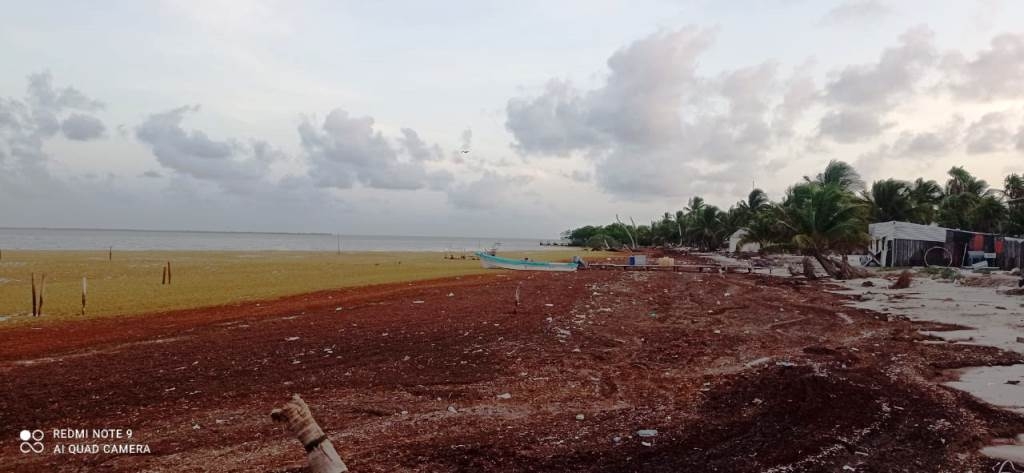 Hay desecho marino en hasta 200 metros desde la playa