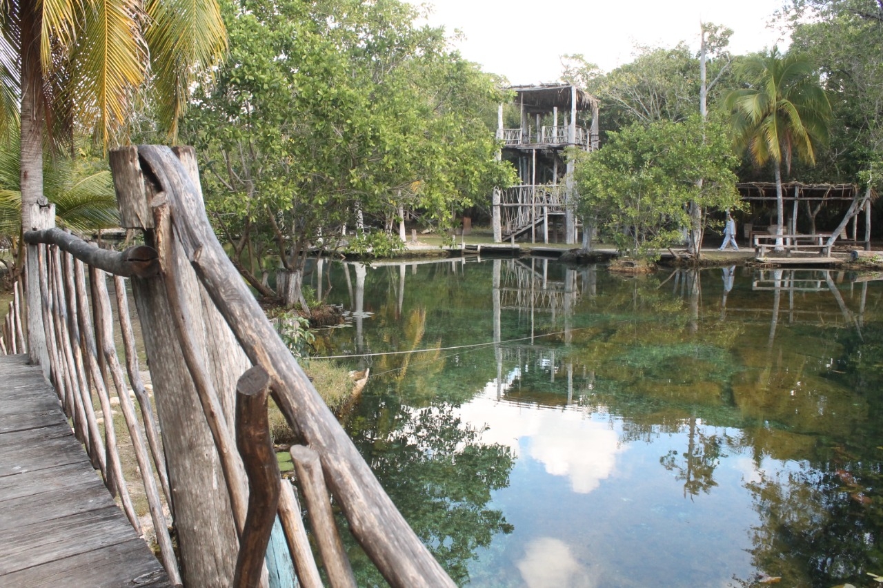 Las rutas donde pasará el Tren Maya ofrecen paisajes de convivio natural Las rutas donde pasará el Tren Maya ofrecen paisajes de convivio natural