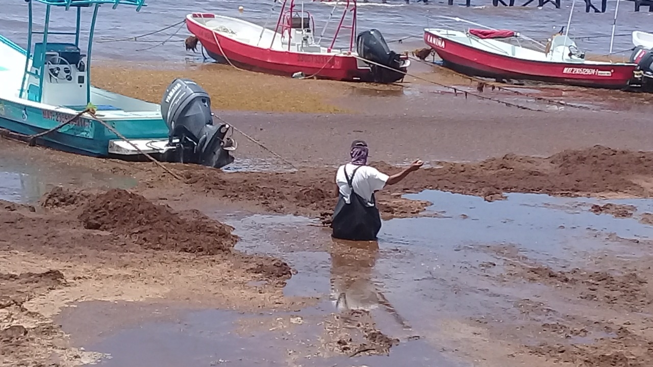 Sargazo da 'tiro de gracia' a pescadores de Playa El Recodo en Solidaridad