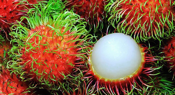 Este fruto se encuentra dentro de la lista las frutas más exóticas del mundo y expertos le llaman la ‘Superfruta’