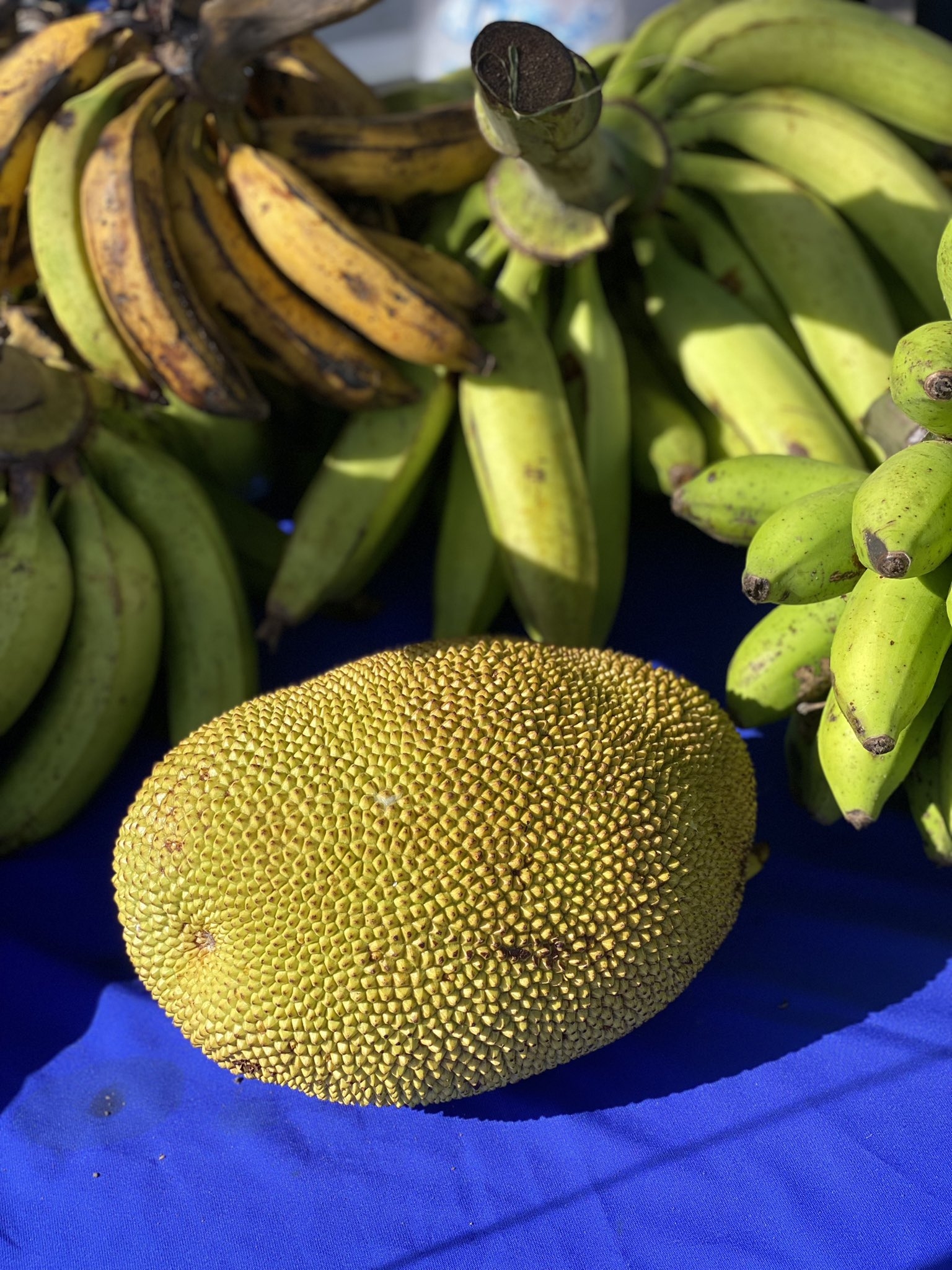 Una vexz preparara, esta fruta difícilmente puede diferenciarse de la carne Una vexz preparara, esta fruta difícilmente puede diferenciarse de la carne