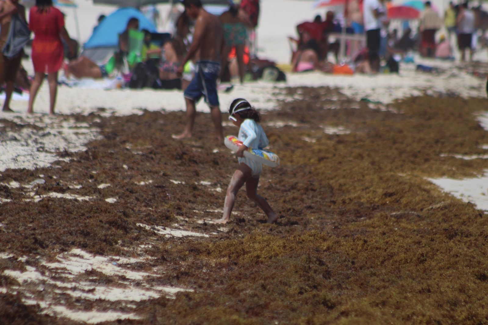 La cantidad de sargazo no afectó la asistencia a las playas de Cancún, pues se pudo notar una afluencia moderada de turistas
