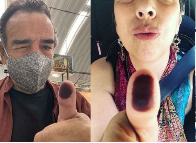 Damián Alcazar, Héctor Bonilla y  Regina Orozco son algunas figuras públicas que han compartido su participación en la Consulta Popular
