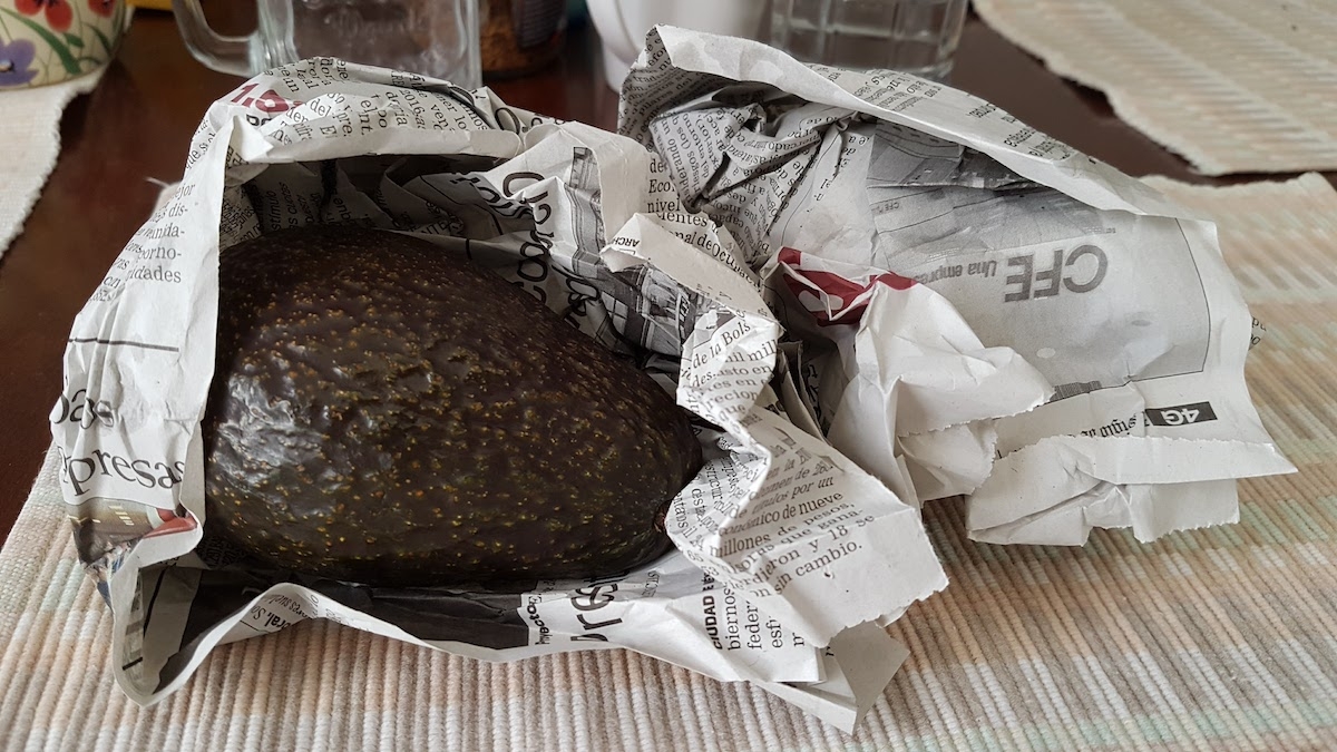 Los aguacates son las frutas que más son buscadas en los hogares mexicanos por su sabor Los aguacates son las frutas que más son buscadas en los hogares mexicanos por su sabor