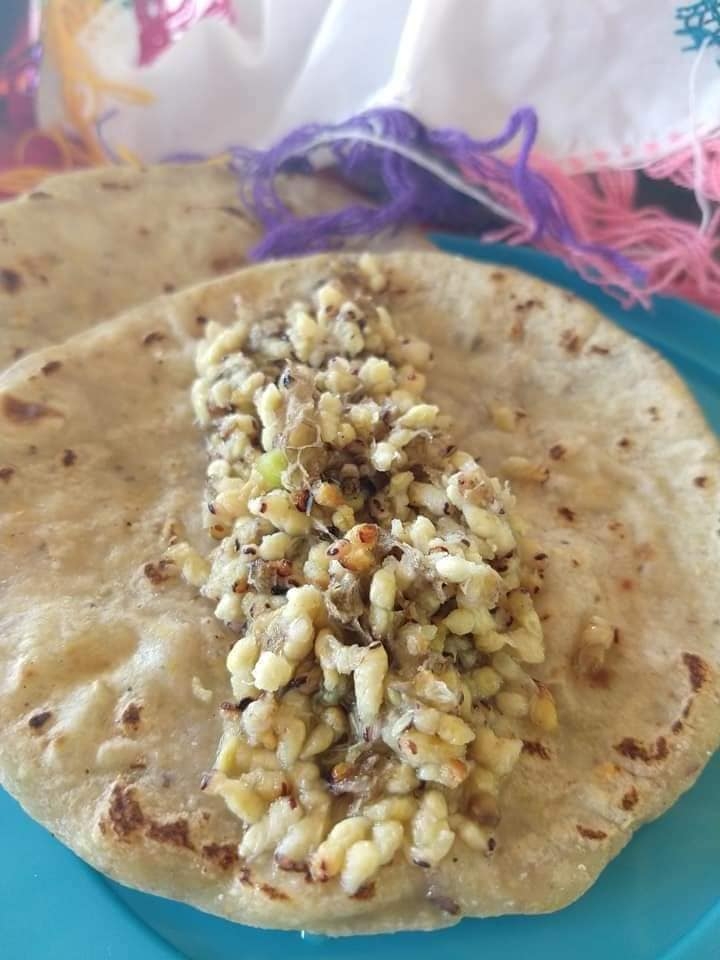 Los tacos de larvas de 'ek' se acompañan con chile tamulado y limón Los tacos de larvas de 'ek' se acompañan con chile tamulado y limón