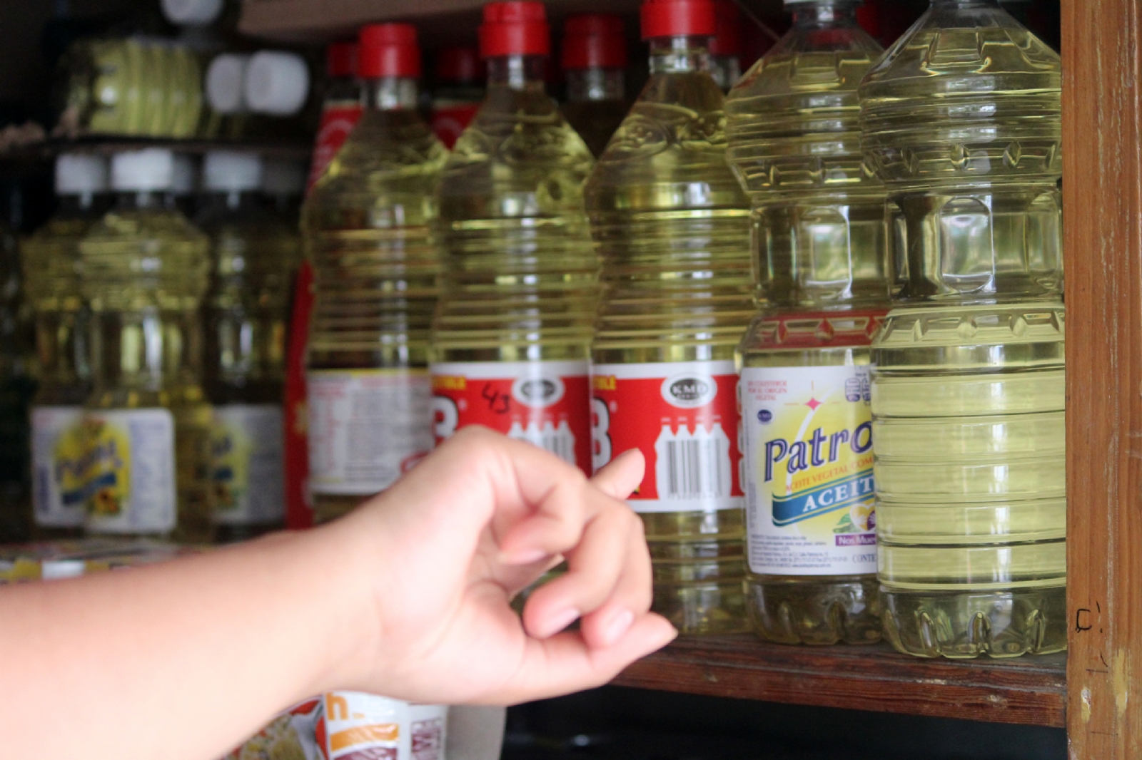Cancún apareció en el informe de la Profeco dentro de los precios más bajos en productos de la canasta básica