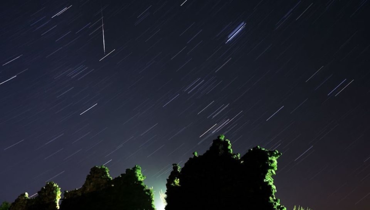 A diferencia de otras ocasiones, este año será especial ya que el brillo de la Luna no la entorpecerá. Foto: Especial