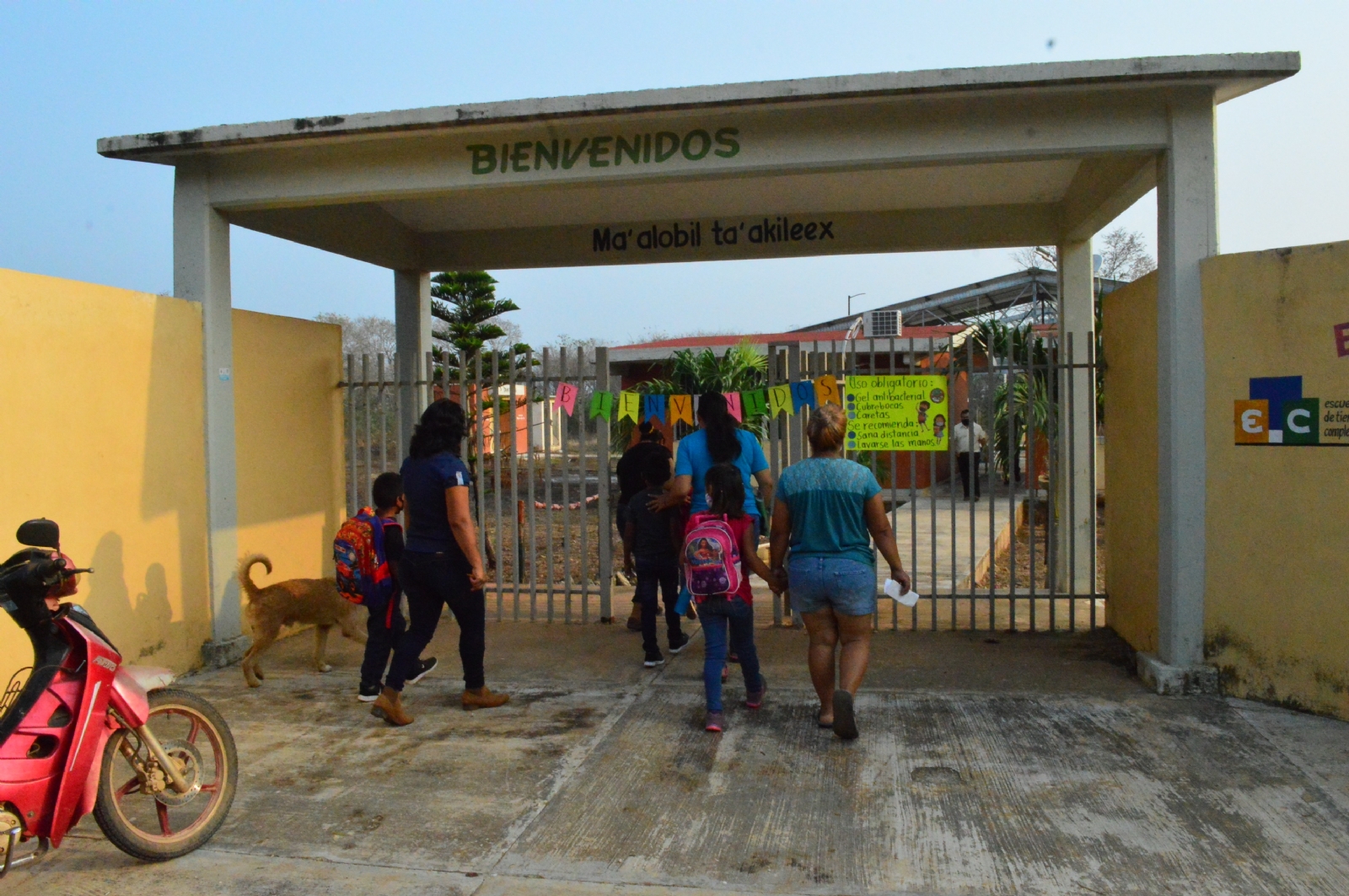 El regreso a clases presenciales será voluntario y no perjudicará las asistencias, ni la calificación de los alumnos