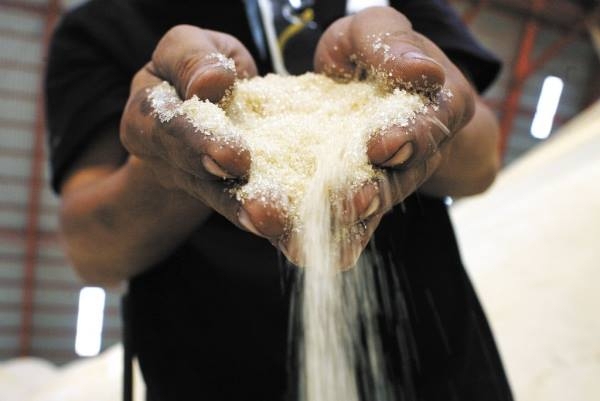 El cupo de exportación del azúcar que enviarán los productores mexicanos a Estados Unidos es de 657 mil 153 toneladas El cupo de exportación del azúcar que enviarán los productores mexicanos a Estados Unidos es de 657 mil 153 toneladas