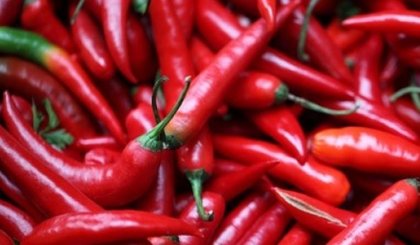 Así se mide lo picante de un chile