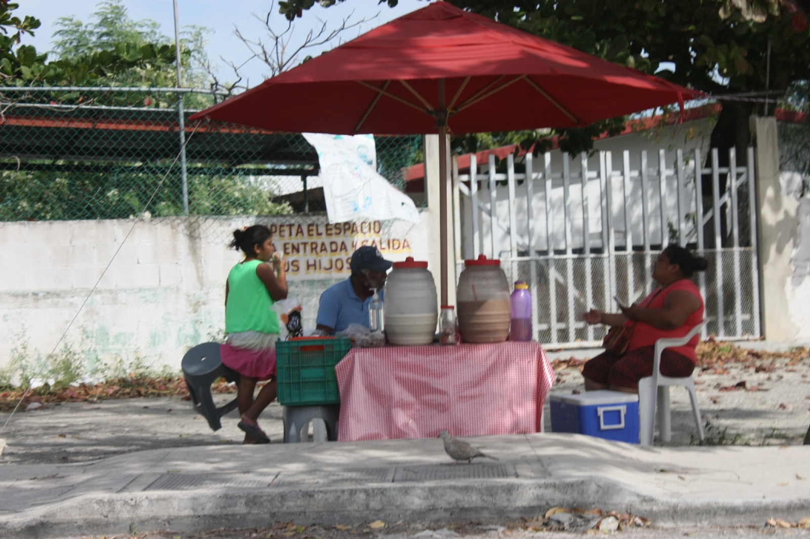49% de las mujeres en Quintana Roo labora en comercio informal: México, ¿Cómo Vamos?