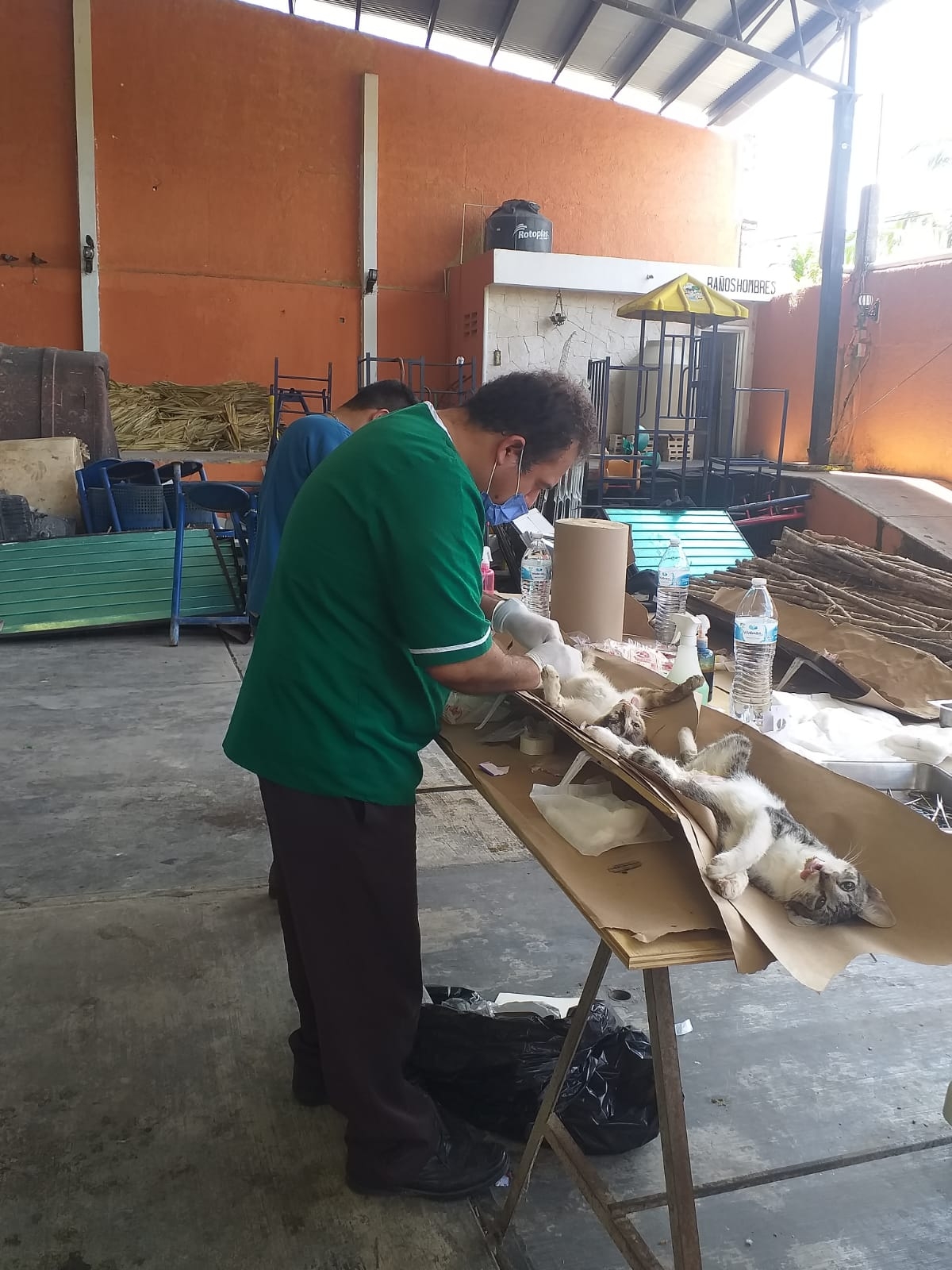 Junto a otros veterinarios realizan las intervenciones por la cantidad de 350 pesos y han realizado mil 500 de estas cirugías Junto a otros veterinarios realizan las intervenciones por la cantidad de 350 pesos y han realizado mil 500 de estas cirugías