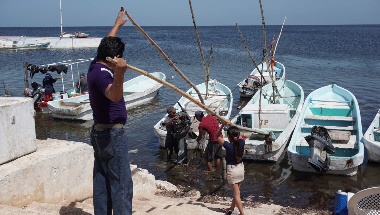 La temporada de pulpo inició el 1 de agosto y concluirá el próximo 15 de diciembre La temporada de pulpo inició el 1 de agosto y concluirá el próximo 15 de diciembre