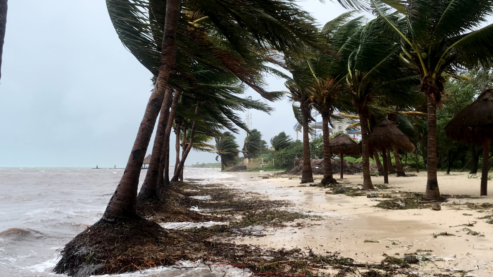El área de inestabilidad en el Mar Caribe se mueve hacia Florida, según el Centro Nacional de Huracanes de Estados Unidos El área de inestabilidad en el Mar Caribe se mueve hacia Florida, según el Centro Nacional de Huracanes de Estados Unidos