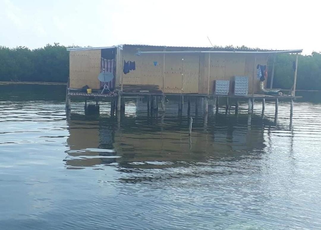 Las cooperativas decidieron no exponer a sus pescadores en su mayoría habitantes de Xcalak y Mahahual