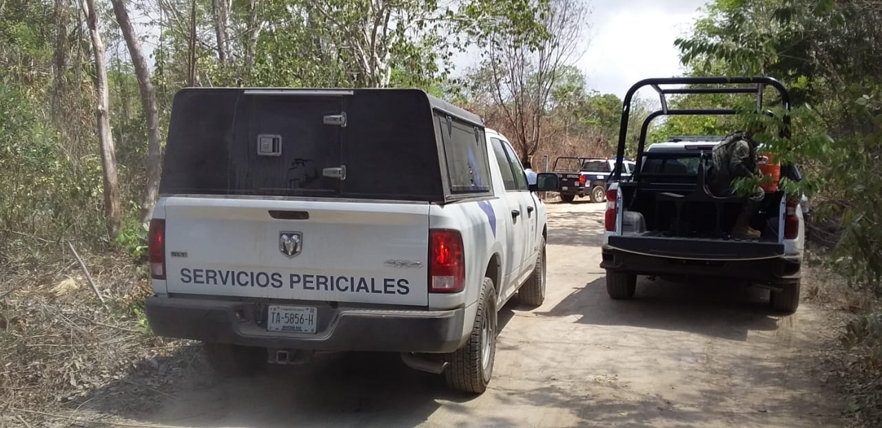 Las autoridades periciales y del servicio médico forense se encuentran investigando el hecho