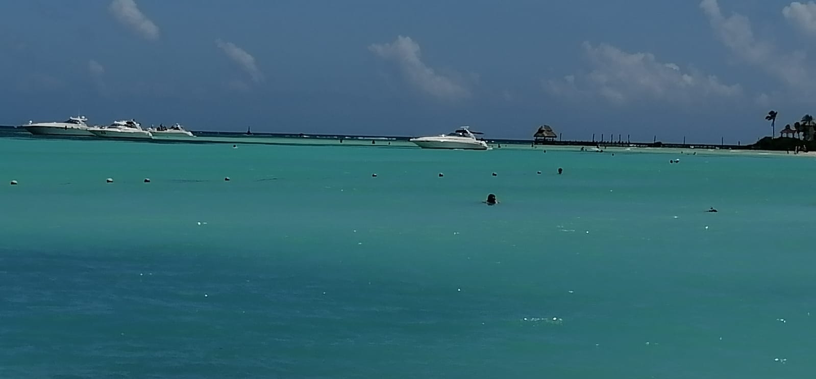 Para poder recibir la vacuna, es necesario contar con el registro de la primera vacuna