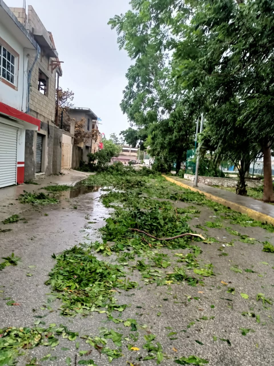 Estos son los huracanes más destructivos en México