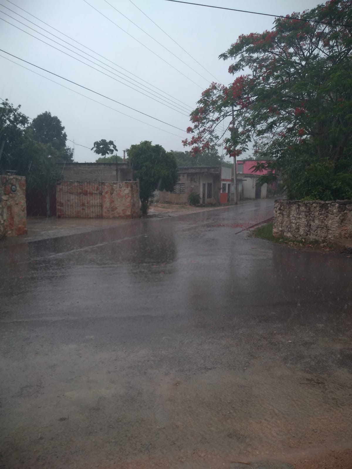 Yucatán tendrá un día nublado con posibilidad de lluvias por lo que se recomienta llevar paraguas Yucatán tendrá un día nublado con posibilidad de lluvias por lo que se recomienta llevar paraguas