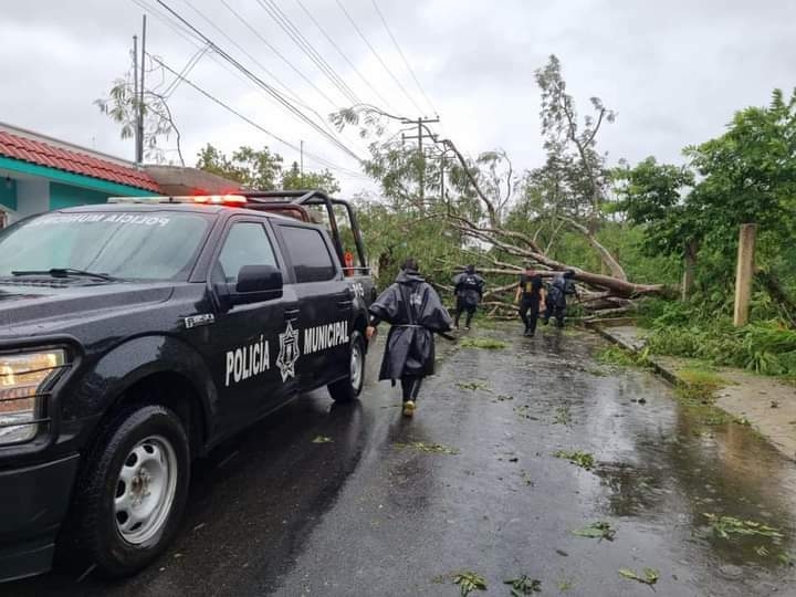La ropa de una motociclista se atoró en el árbol causando que fuera atropellada tras caer La ropa de una motociclista se atoró en el árbol causando que fuera atropellada tras caer