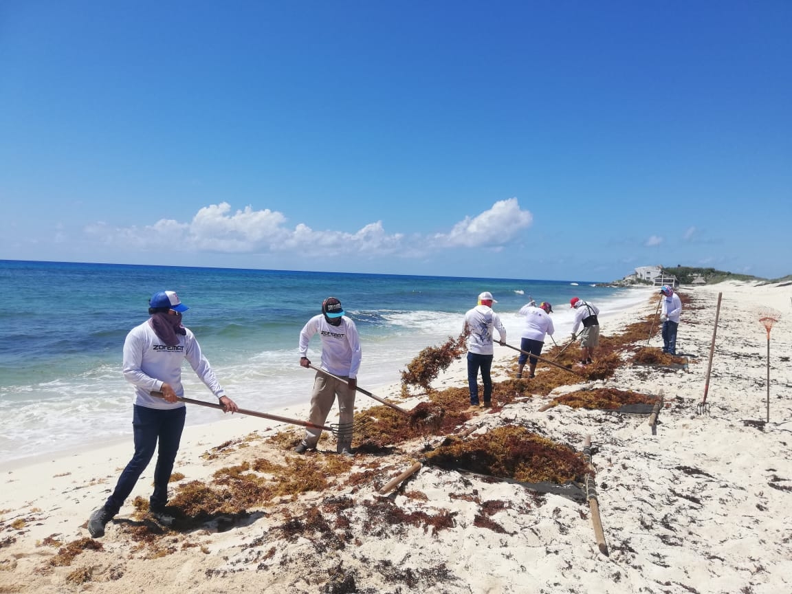 Antes de la llegada del ciclón, los balnearios de Cozumel estaban limpios