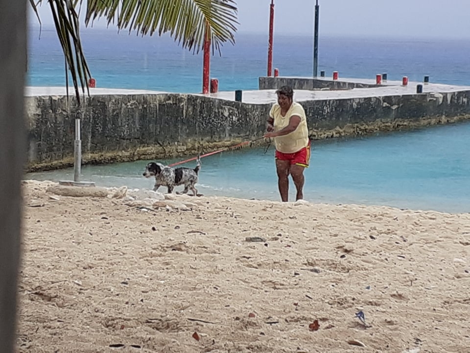 Vecinos acusan a jovencita que saca a pasear a sus perros y no levanta las heces fecales 

